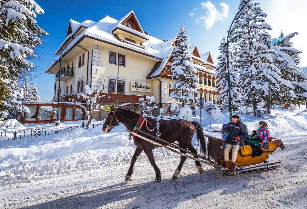 Отель Hotel Belvedere Закопане-37