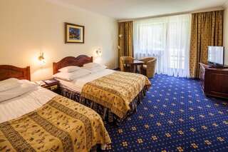 Отель Hotel Belvedere Закопане Двухместный номер с двуспальной кроватью и дополнительной кроватью-3